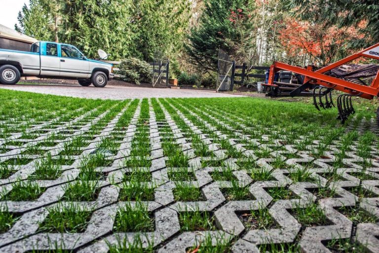 Concrete grid driveway