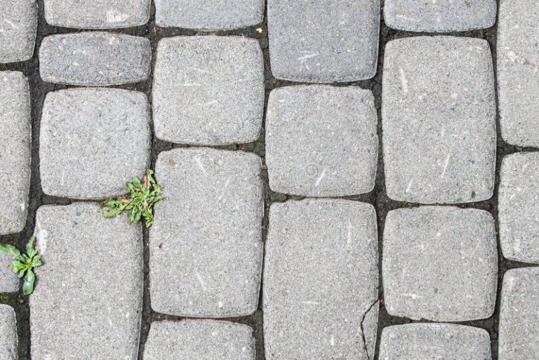 Pavers and turf